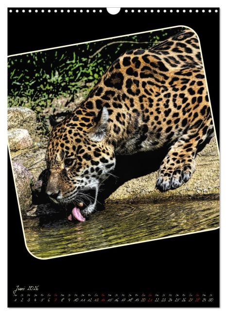 additionalImage11