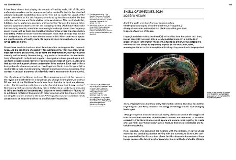 additionalImage8
