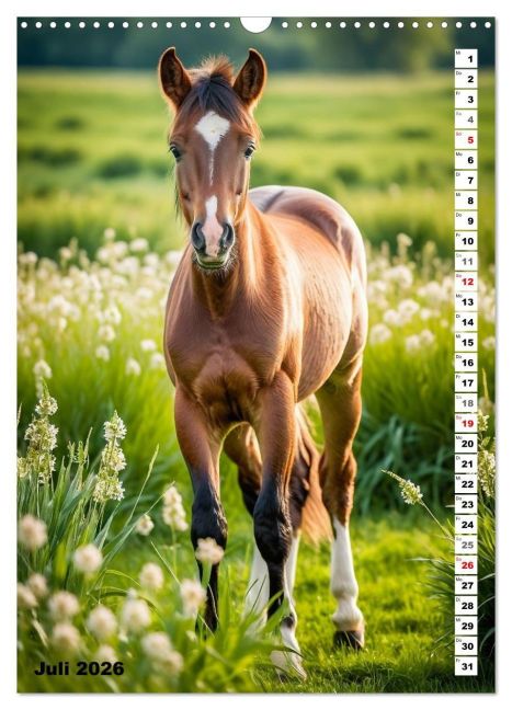 additionalImage12