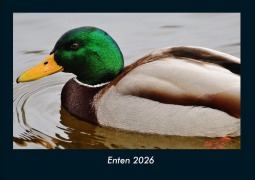 Cover-Bild zum Titel 'Enten 2026 Fotokalender DIN A4' von 'Tobias Becker'