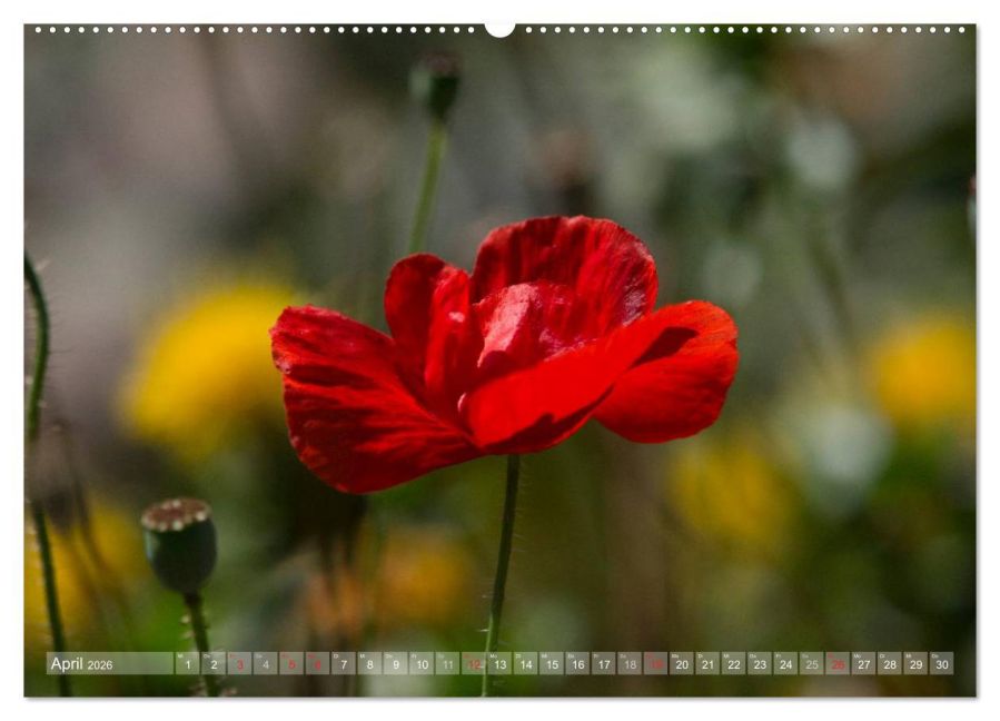 additionalImage8
