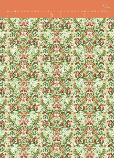 additionalImage1