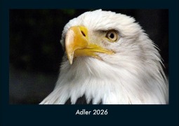 Cover-Bild zum Titel 'Adler 2026 Fotokalender DIN A4' von 'Tobias Becker'