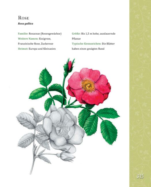 additionalImage5