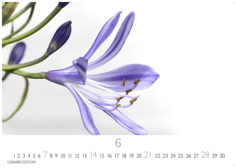 additionalImage6
