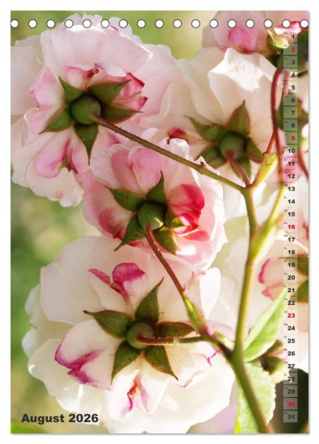 additionalImage13