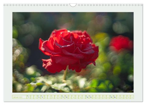 additionalImage6