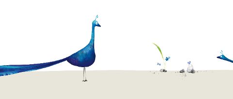 additionalImage1