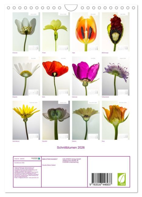 additionalImage5