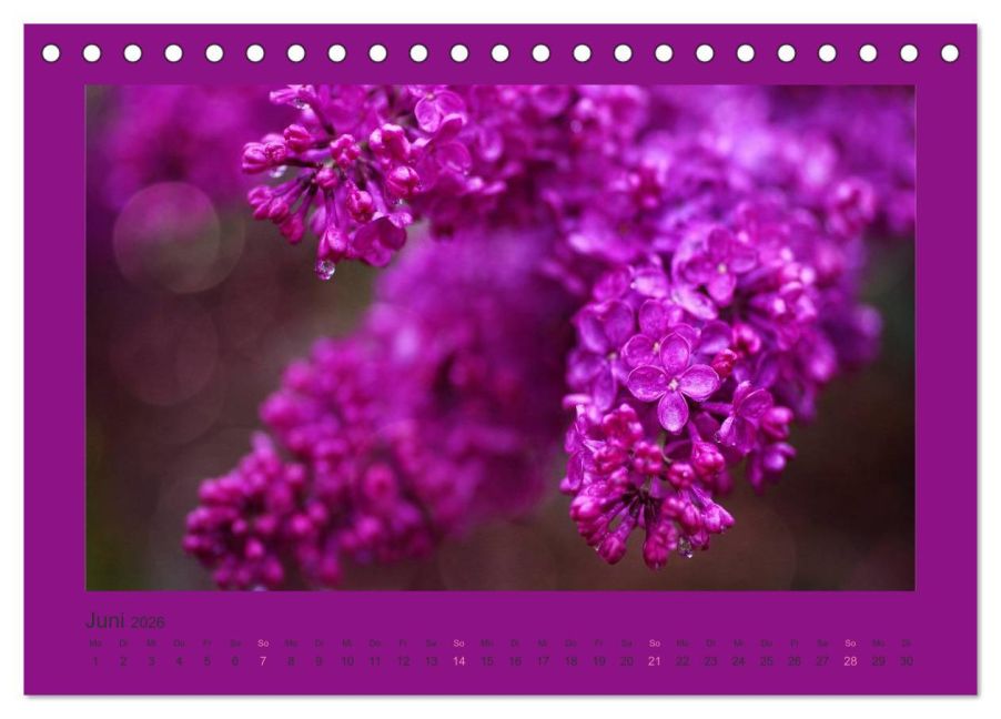 additionalImage11