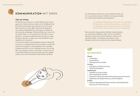 additionalImage10