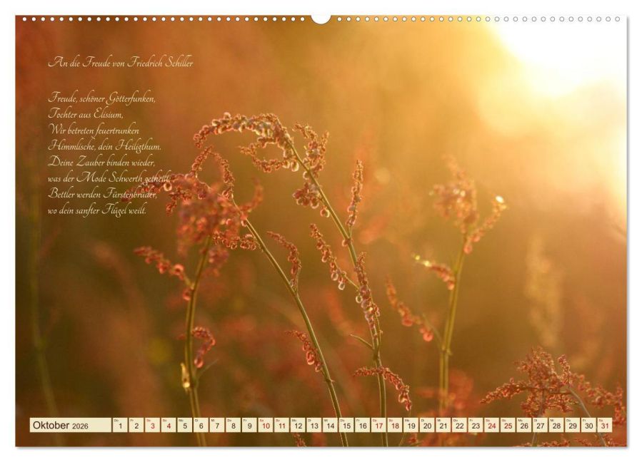 additionalImage1
