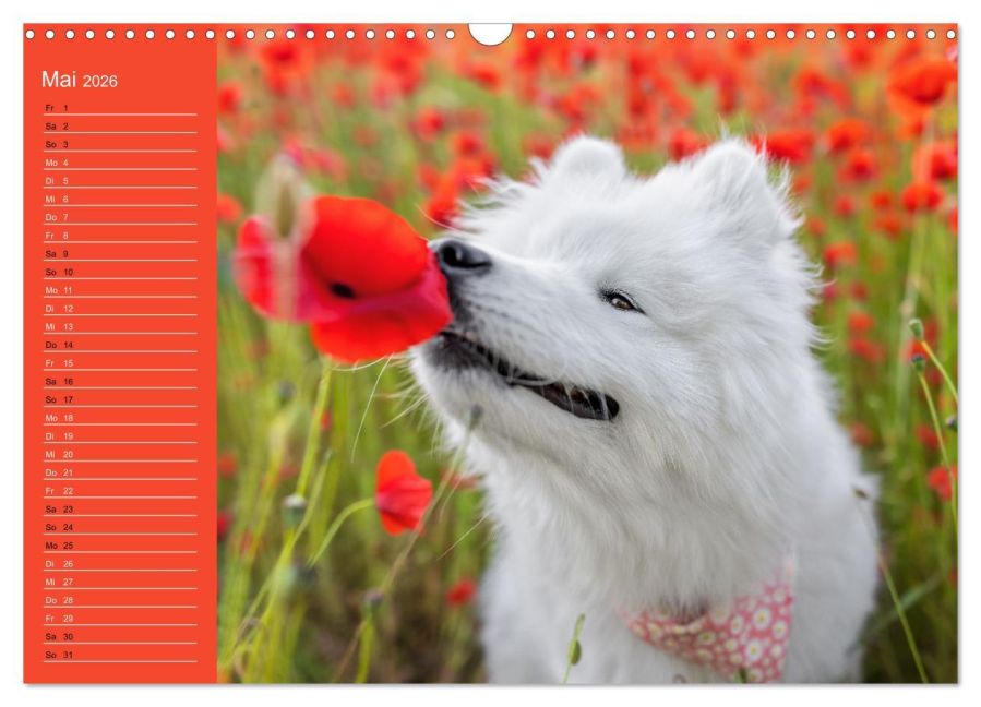 additionalImage10