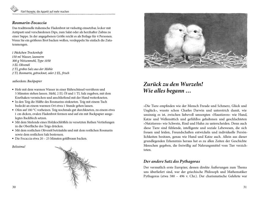 additionalImage1