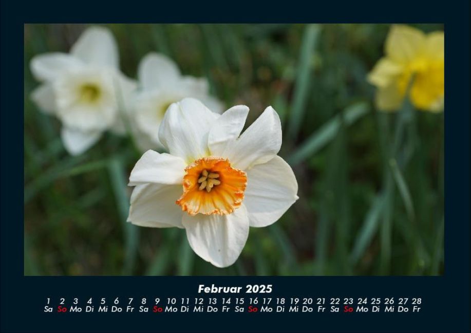 additionalImage6