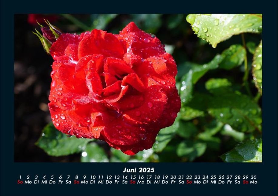 additionalImage10