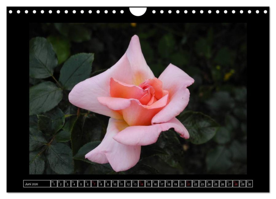 additionalImage11