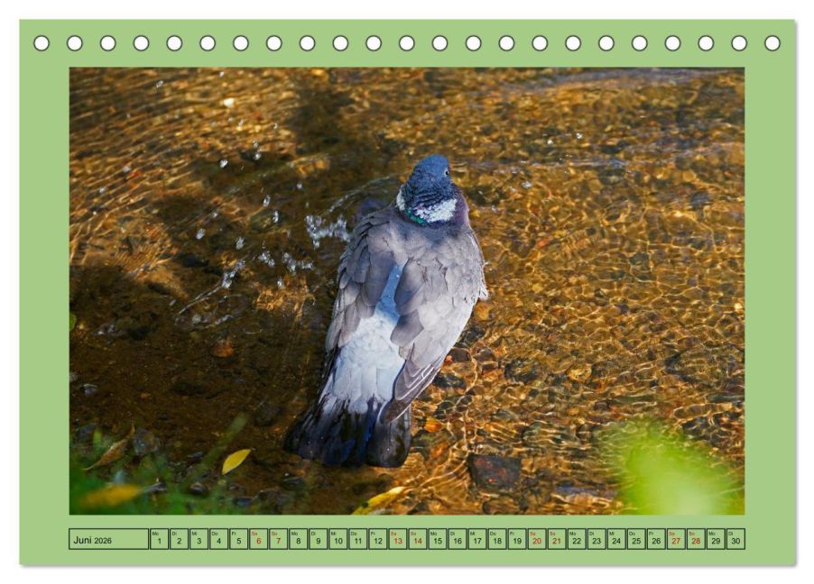 additionalImage11