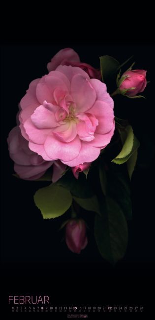 additionalImage2