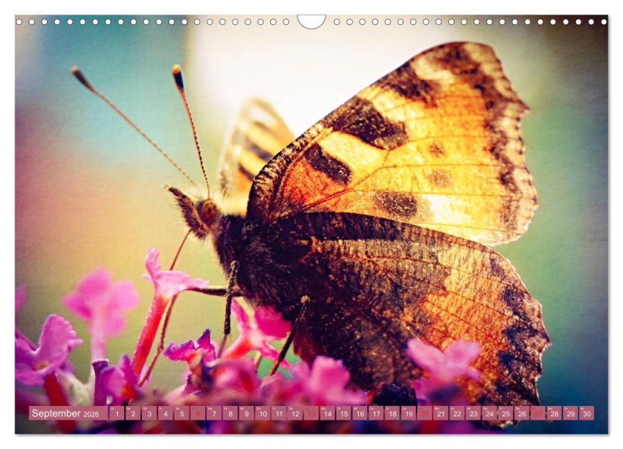 additionalImage14