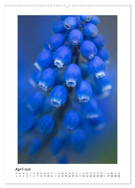 additionalImage8