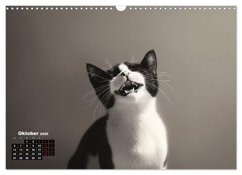 additionalImage2