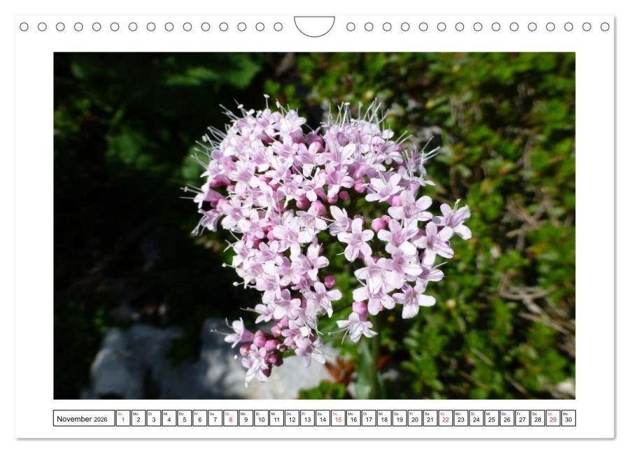 additionalImage3