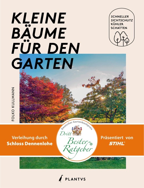 gummibaum robusta Gummibaum Ficus Elastica 'Robusta' Zimmerpflanze kaufen