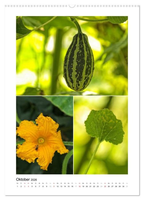 additionalImage2