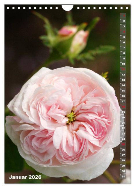 additionalImage6
