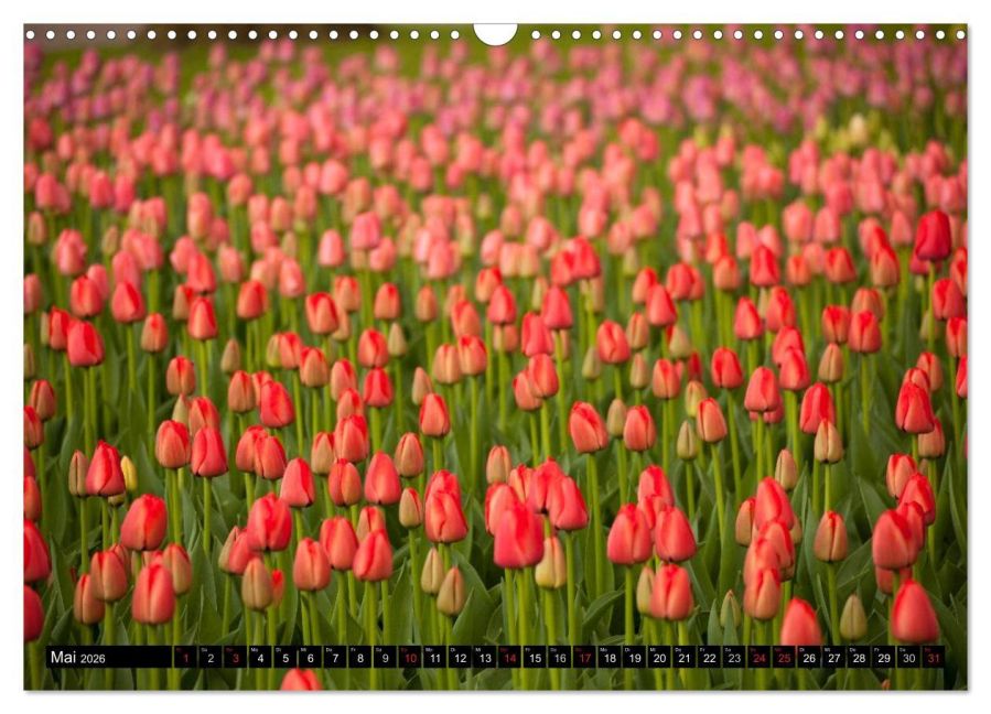 additionalImage10