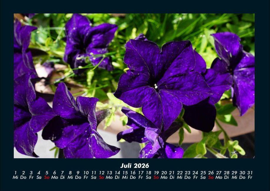 additionalImage11