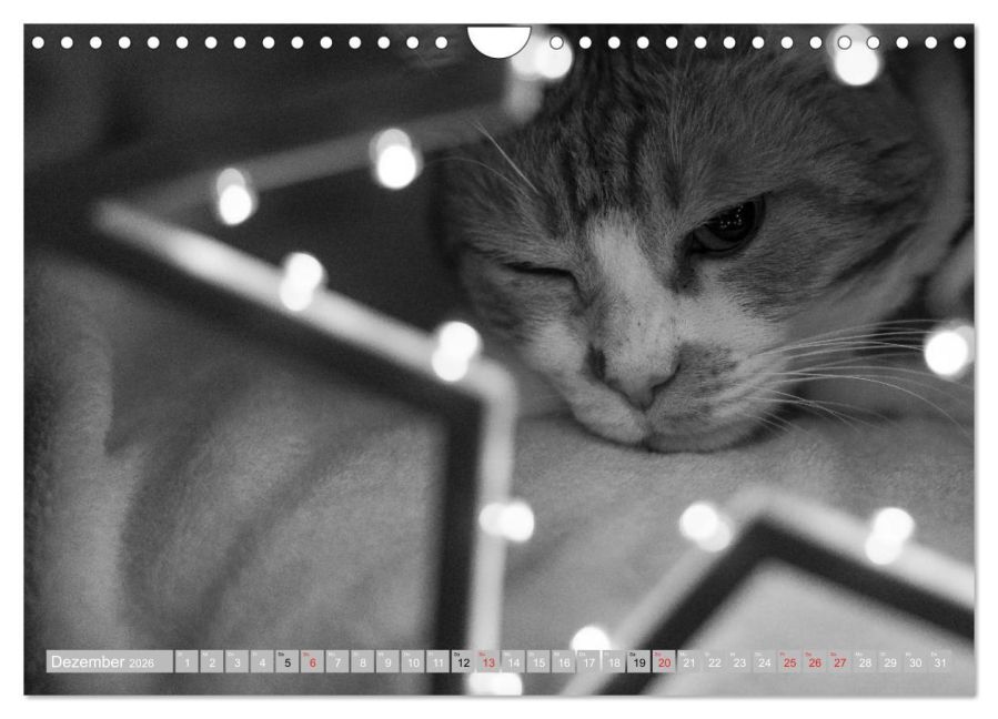 additionalImage4