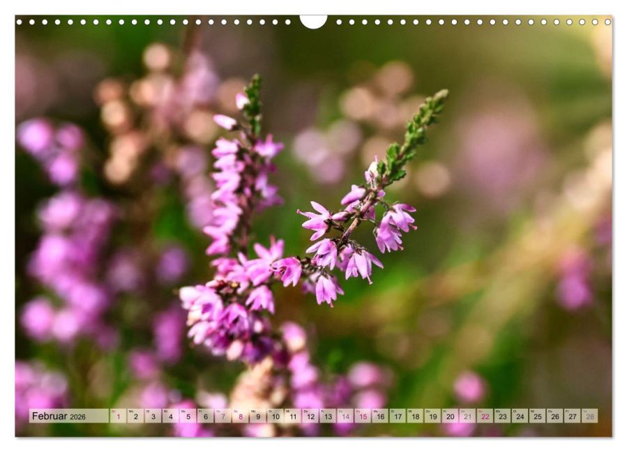 additionalImage7