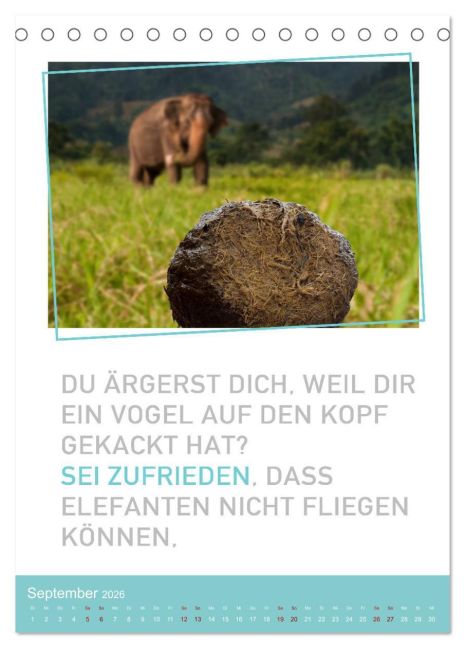 additionalImage14