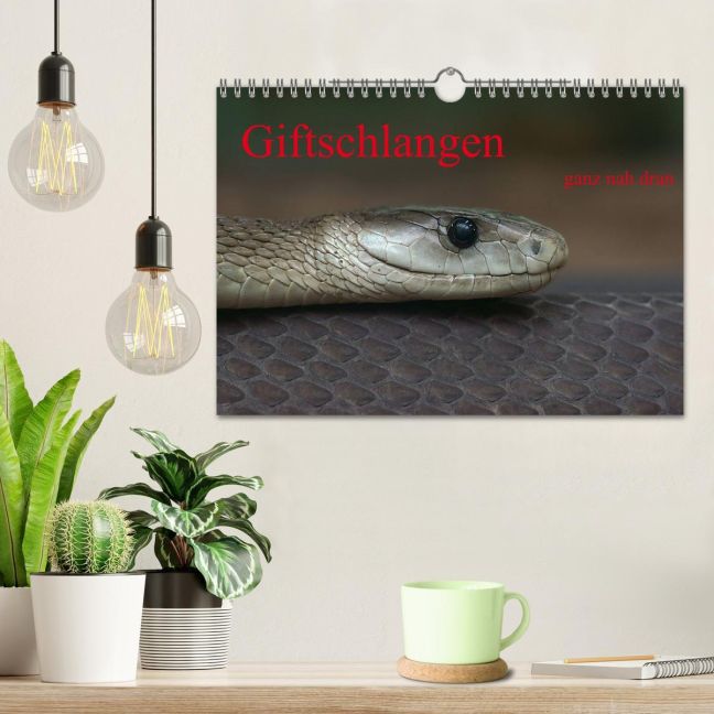 additionalImage1