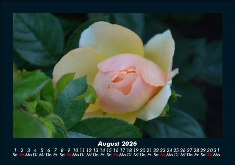 additionalImage12