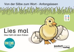Titelbild für "Lies mal - Das Heft mit dem Küken (DaZ)" von P. Wachendorf
