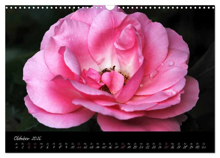 additionalImage2