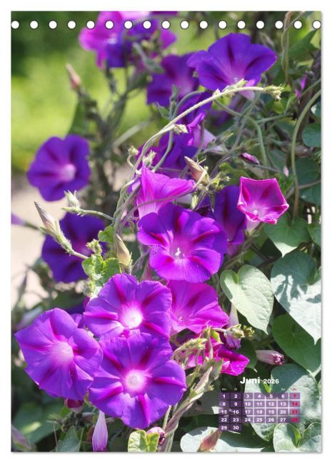 additionalImage11