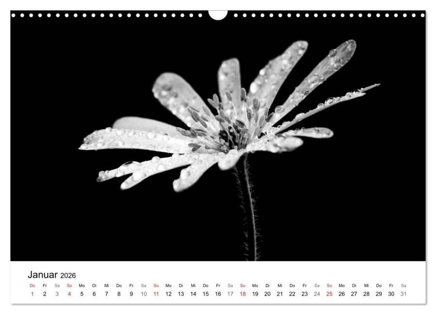 additionalImage6