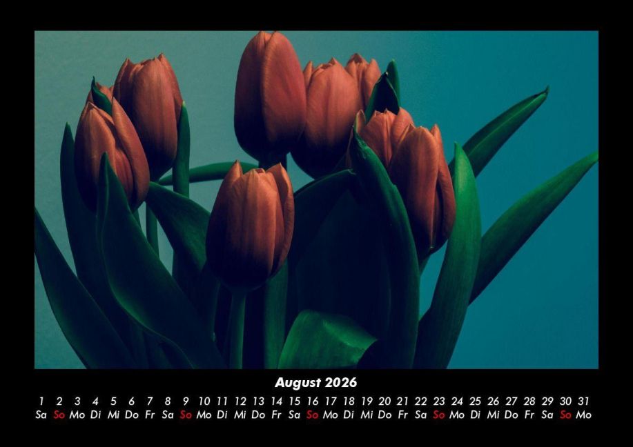 additionalImage12