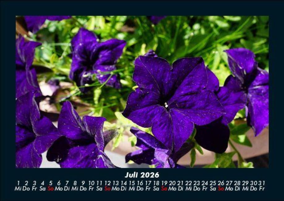 additionalImage11