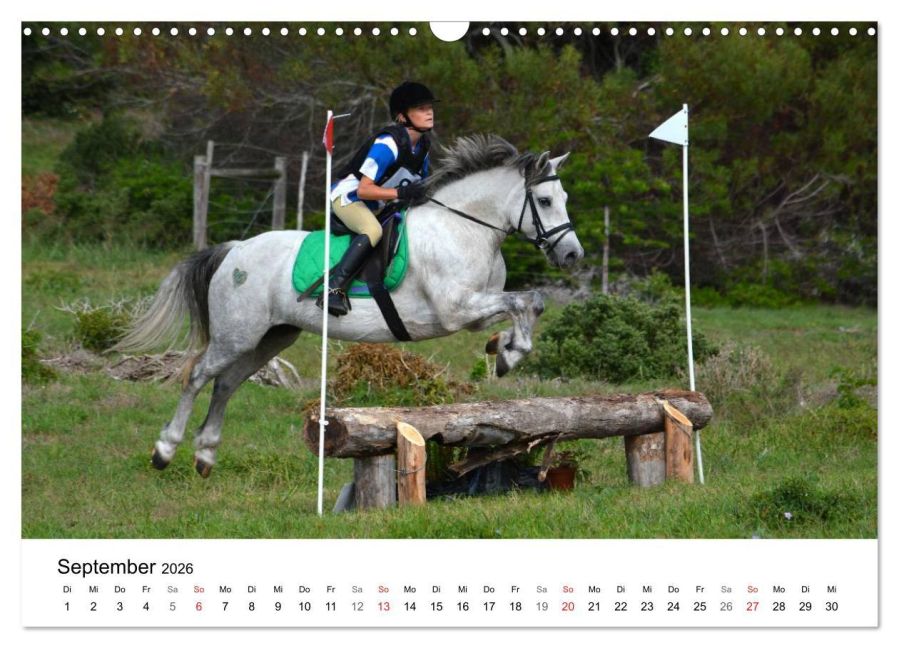 additionalImage14