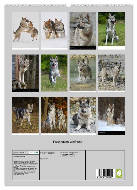 additionalImage4