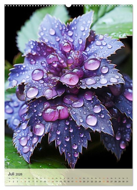 additionalImage11