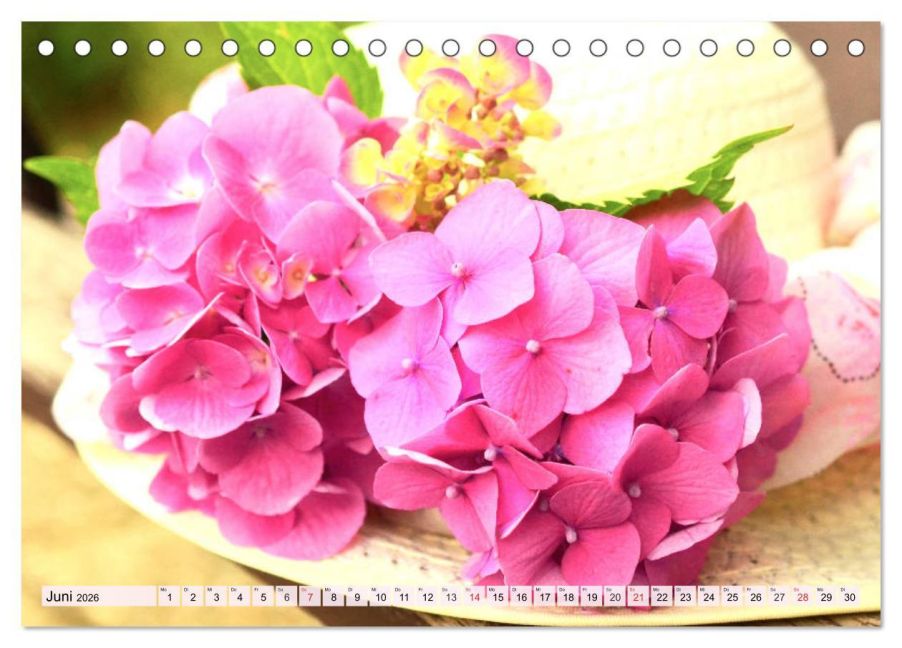 additionalImage11