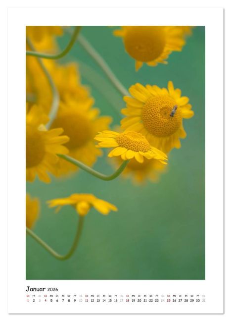 additionalImage6