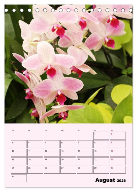 additionalImage13