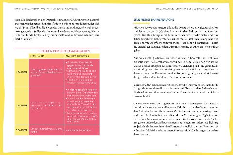 additionalImage2